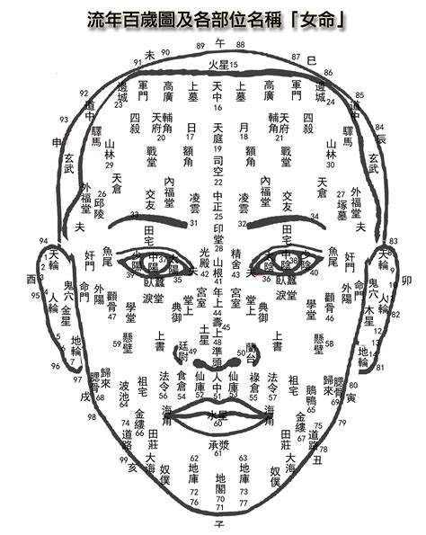 女面相|【女面相】九種面相揭露！誰是註定富貴享福的女強人？